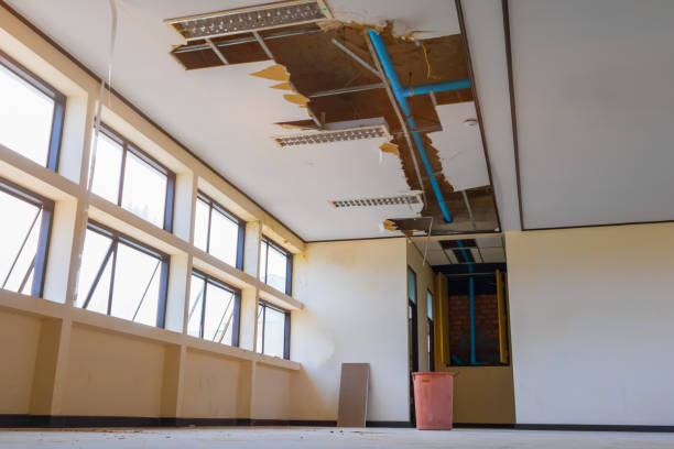 Best Residential water damage restoration  in Gordo, AL