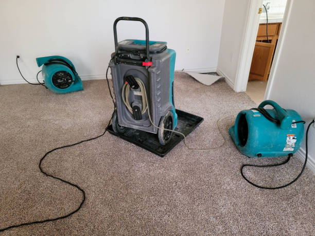 Best Water damage restoration mold remediation  in Gordo, AL