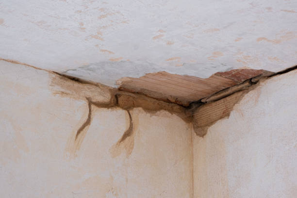 Best Flood restoration services  in Gordo, AL