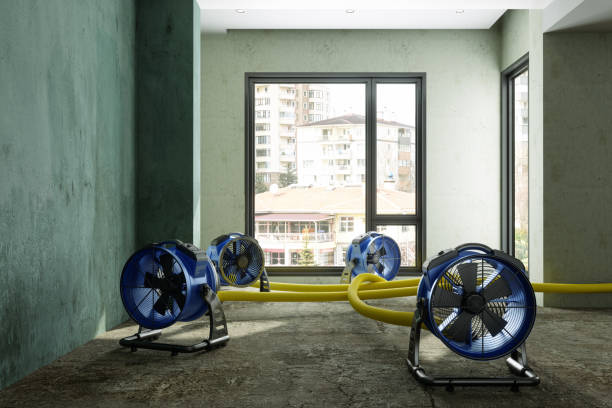 Trusted Gordo, AL Water damage restoration Experts