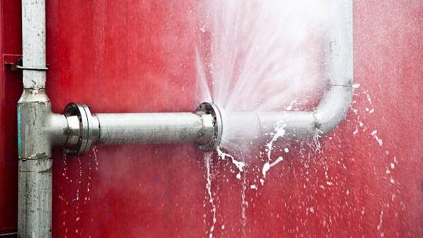 Best Ceiling water damage repair  in Gordo, AL